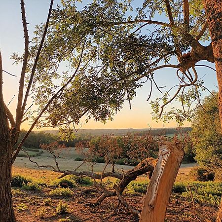 Gite Aux Bois D'En Temps Lunas  Ruang foto