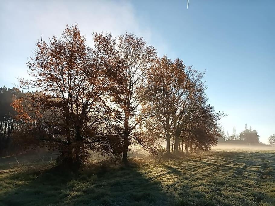 Gite Aux Bois D'En Temps Lunas  Bagian luar foto