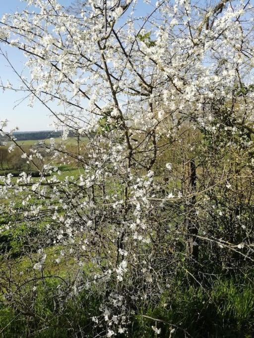 Gite Aux Bois D'En Temps Lunas  Bagian luar foto