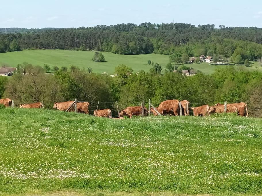 Gite Aux Bois D'En Temps Lunas  Bagian luar foto