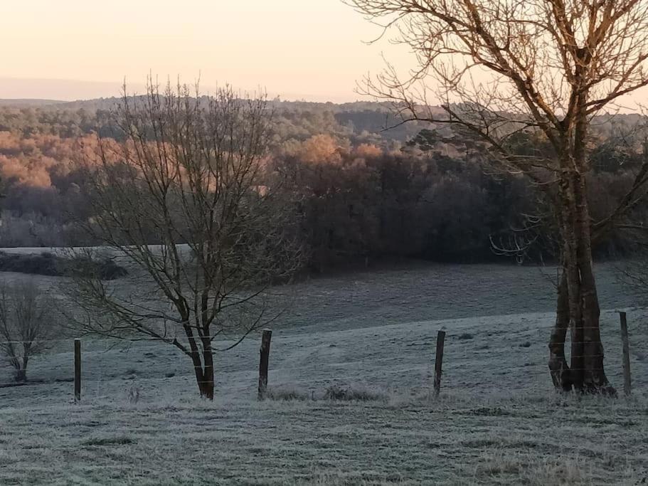 Gite Aux Bois D'En Temps Lunas  Bagian luar foto