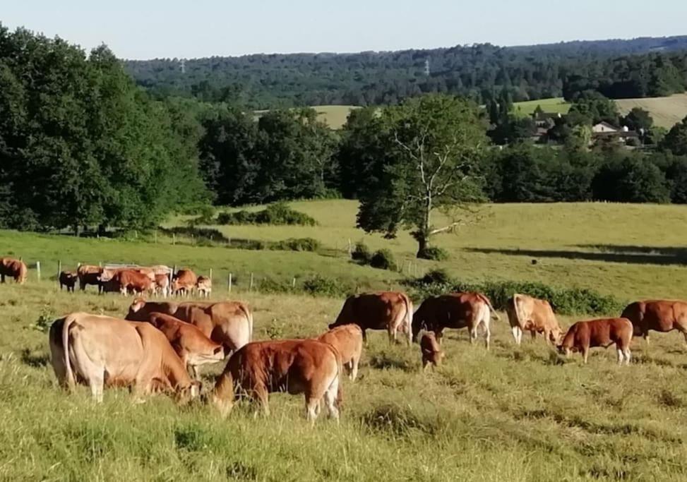 Gite Aux Bois D'En Temps Lunas  Bagian luar foto