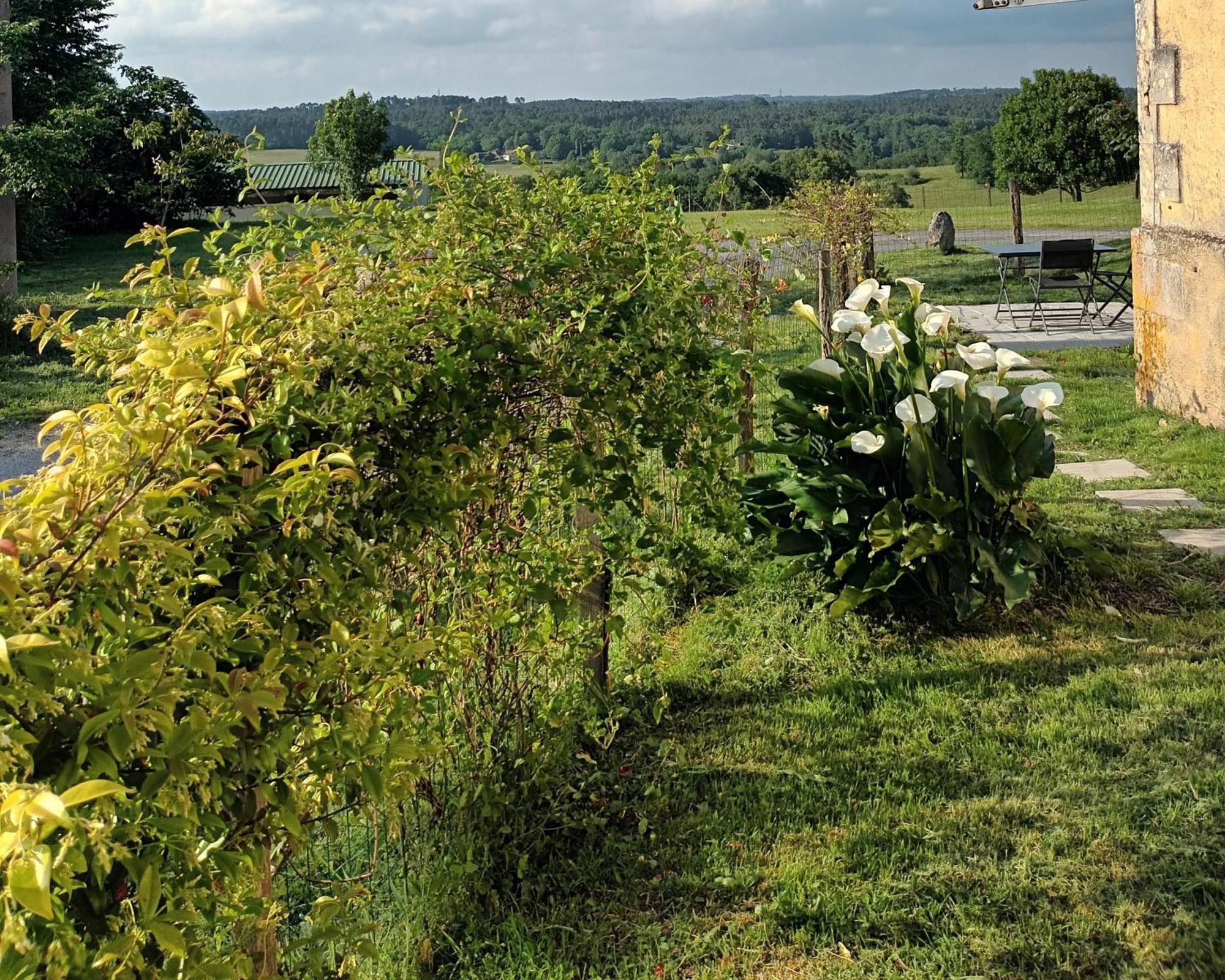 Gite Aux Bois D'En Temps Lunas  Ruang foto