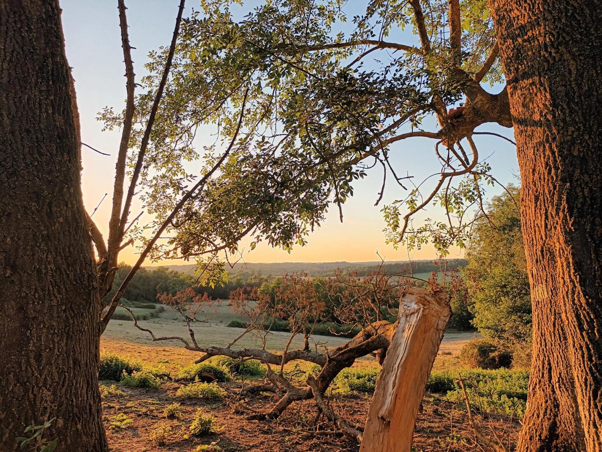 Gite Aux Bois D'En Temps Lunas  Ruang foto